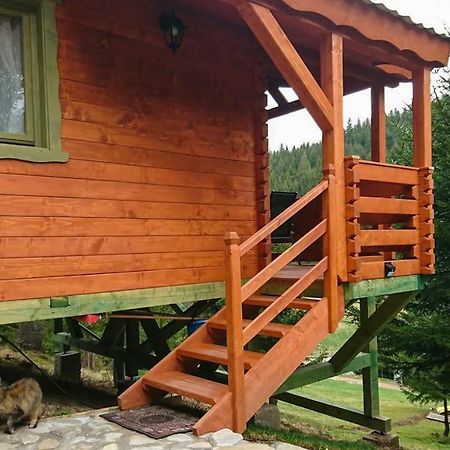 Cabana Casa Craita Zărneşti Екстериор снимка