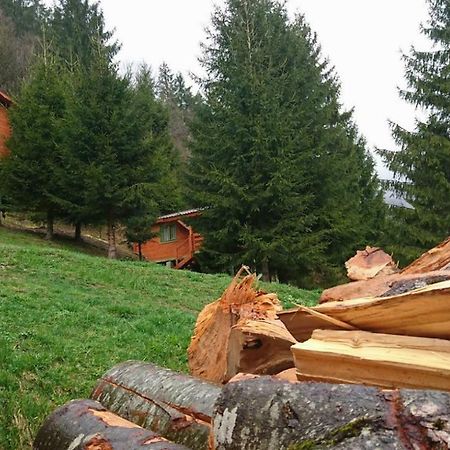Cabana Casa Craita Zărneşti Екстериор снимка