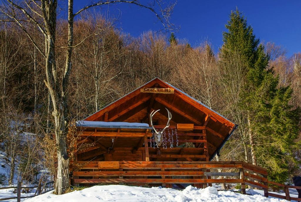 Cabana Casa Craita Zărneşti Стая снимка