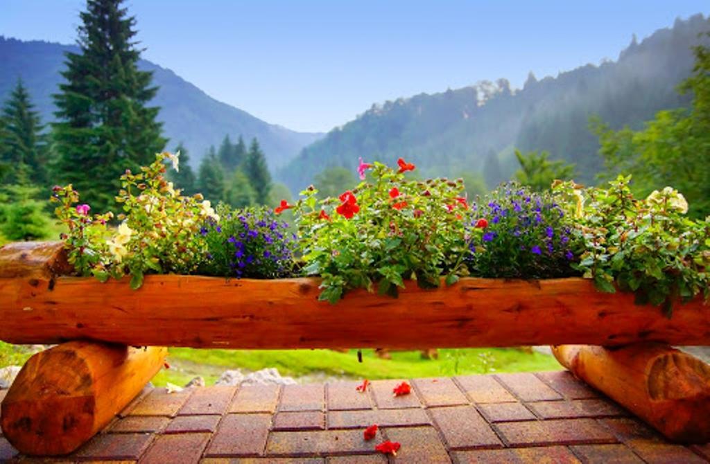 Cabana Casa Craita Zărneşti Стая снимка