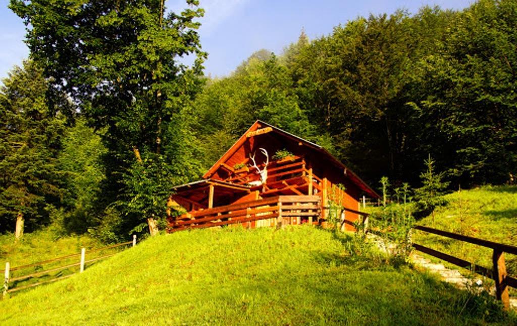 Cabana Casa Craita Zărneşti Стая снимка