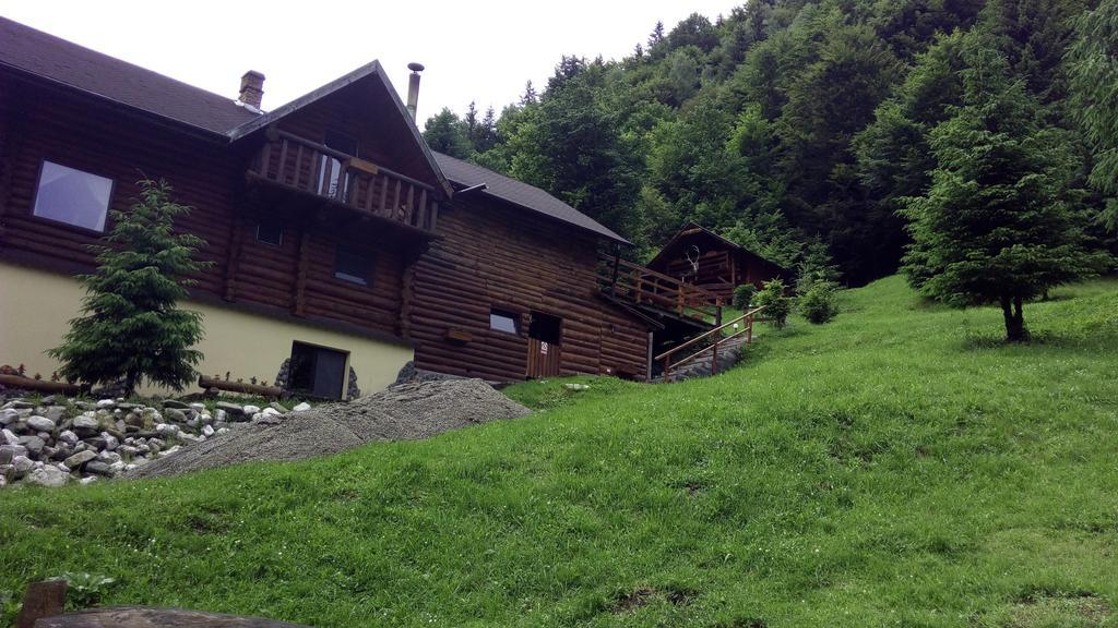 Cabana Casa Craita Zărneşti Екстериор снимка