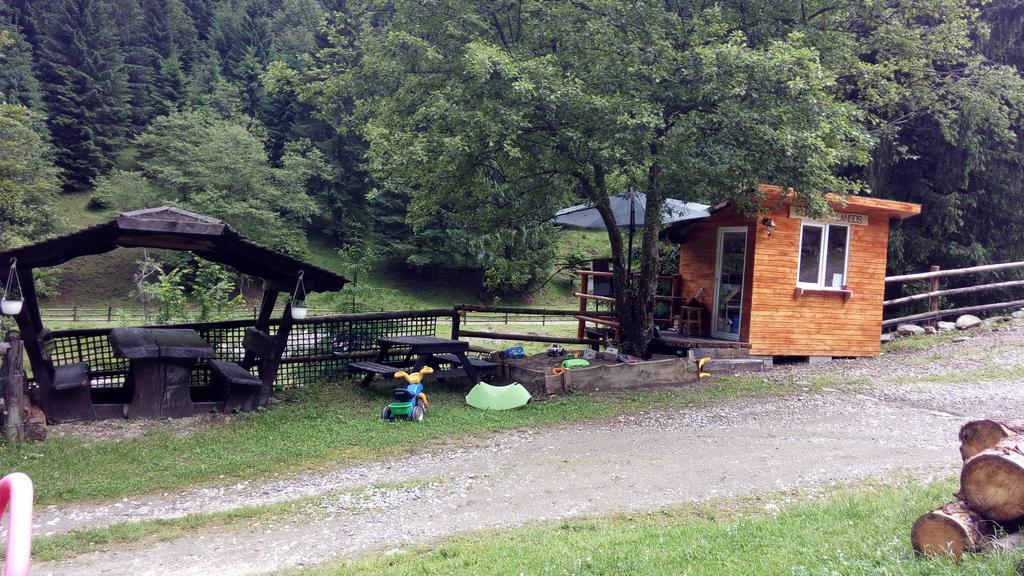 Cabana Casa Craita Zărneşti Екстериор снимка