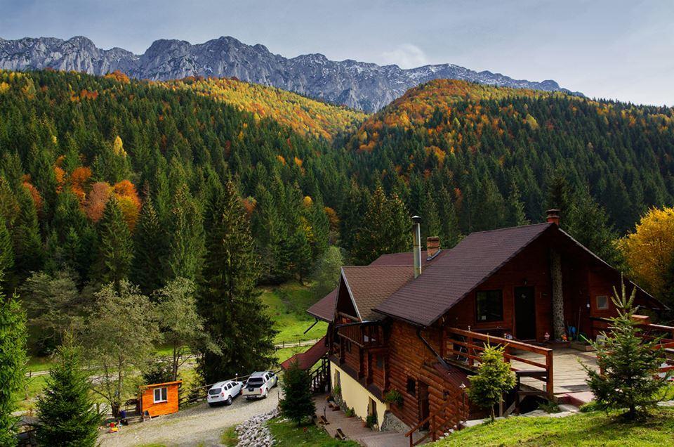 Cabana Casa Craita Zărneşti Екстериор снимка