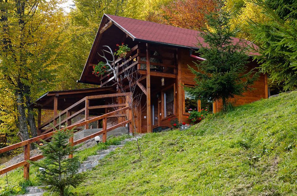 Cabana Casa Craita Zărneşti Екстериор снимка