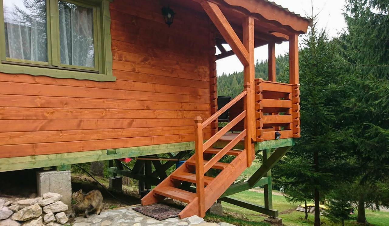 Cabana Casa Craita Zărneşti Екстериор снимка