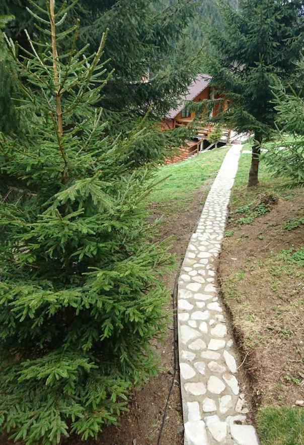 Cabana Casa Craita Zărneşti Екстериор снимка