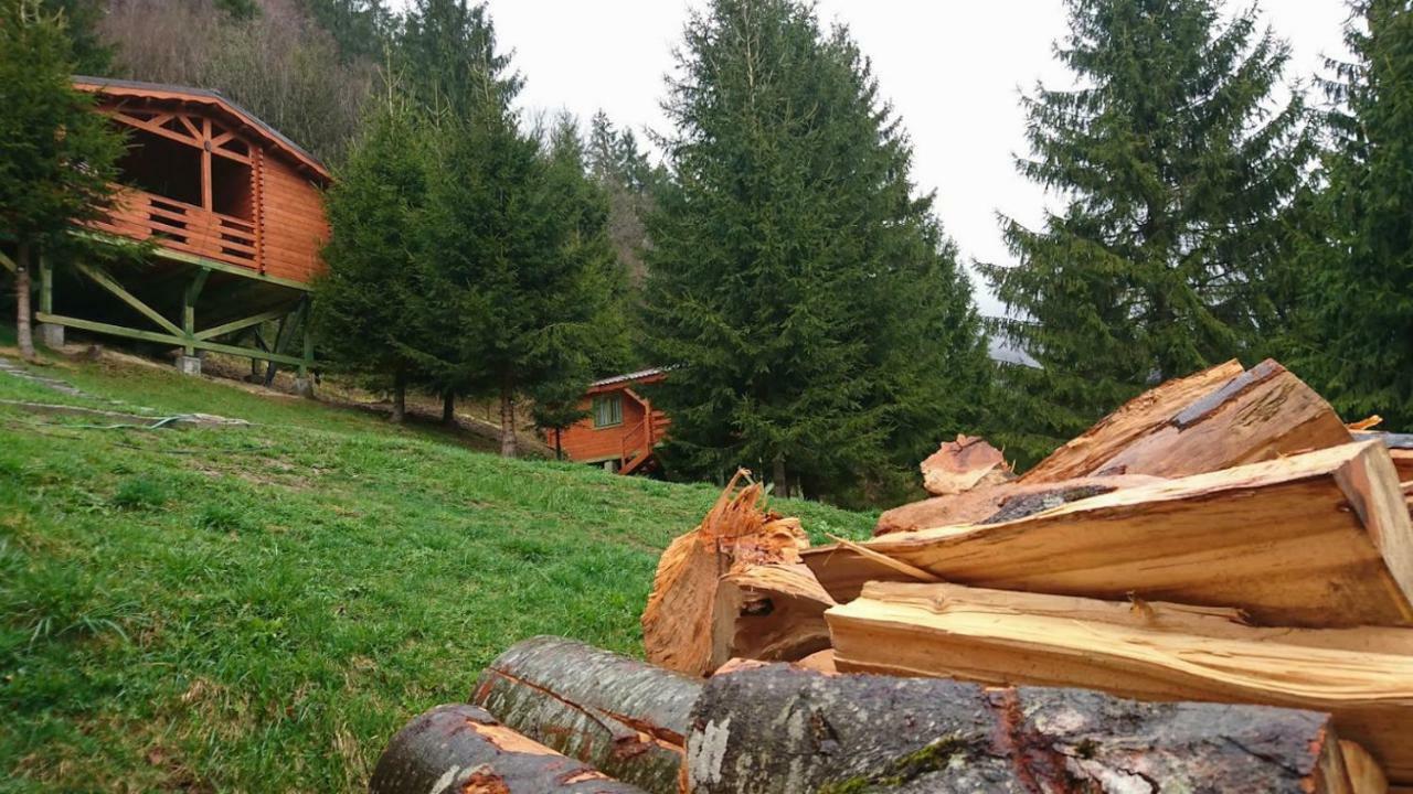 Cabana Casa Craita Zărneşti Екстериор снимка